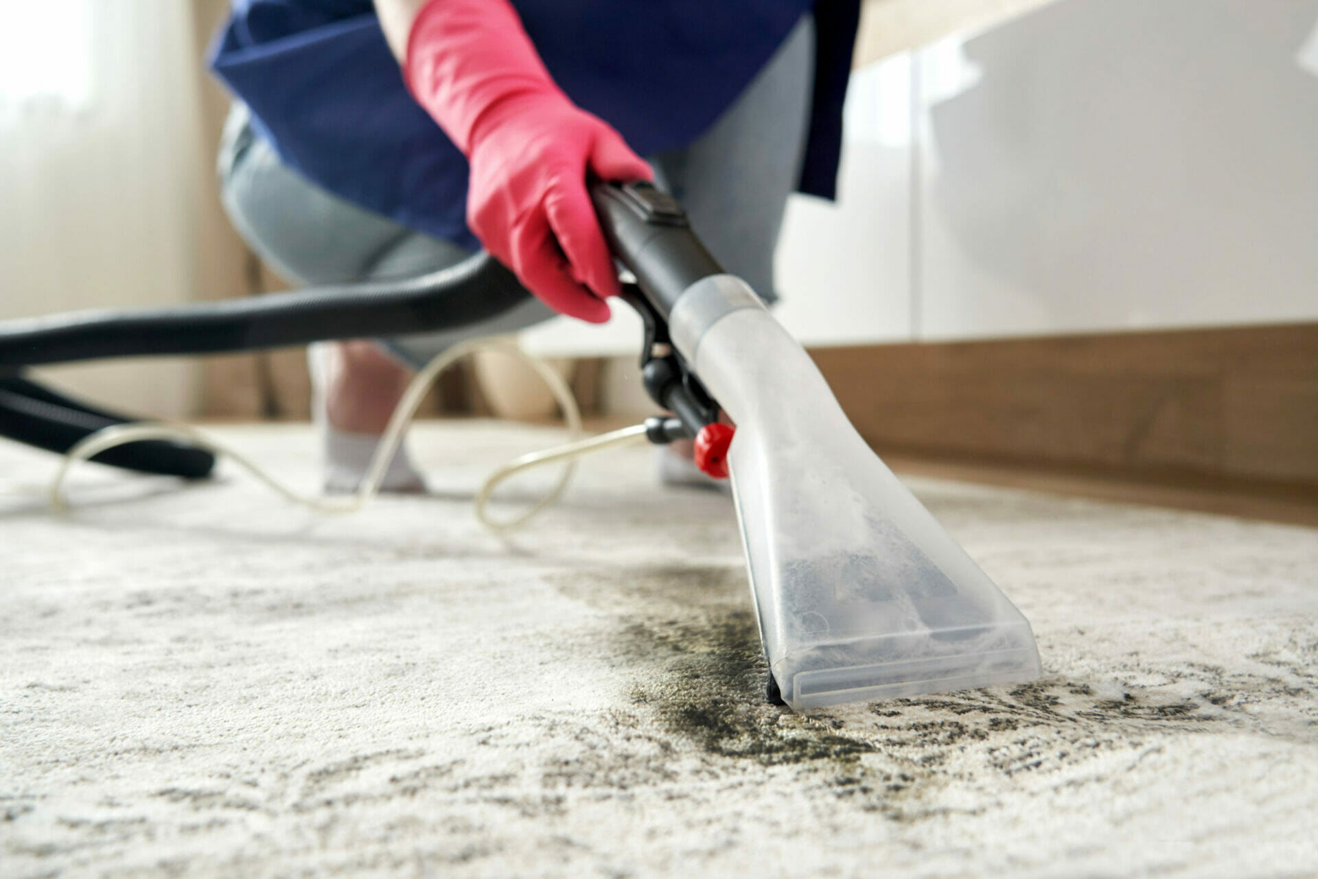 Two people stand in a kitchen, one holding a frying pan and the other using a spatula to cook food on the stove. The tidy space suggests attention to detail—much like professional carpet cleaning ensures spotless results.