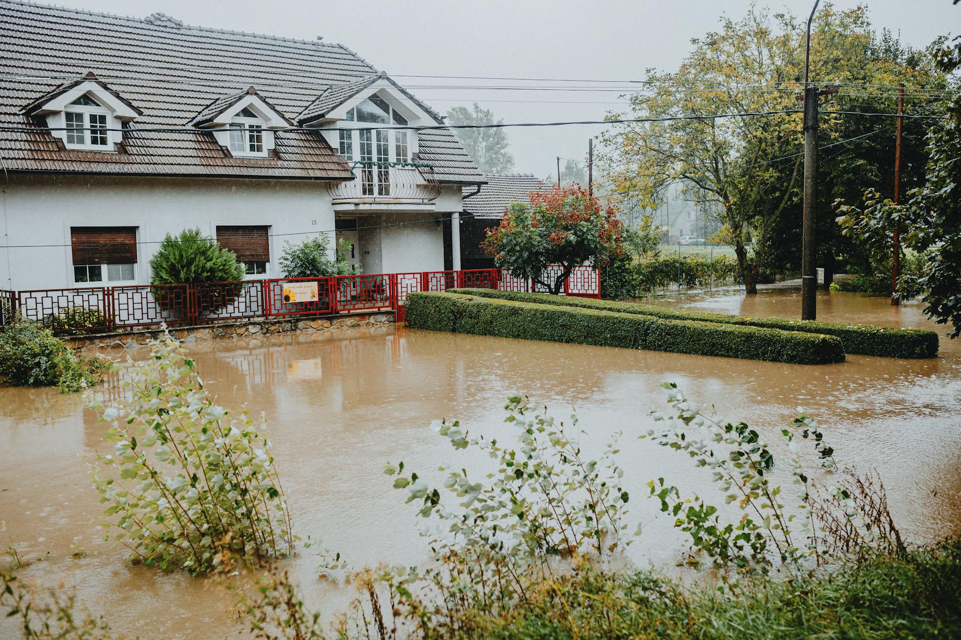 Emergency flood repair technicians extracting water from flooded carpet using professional equipment