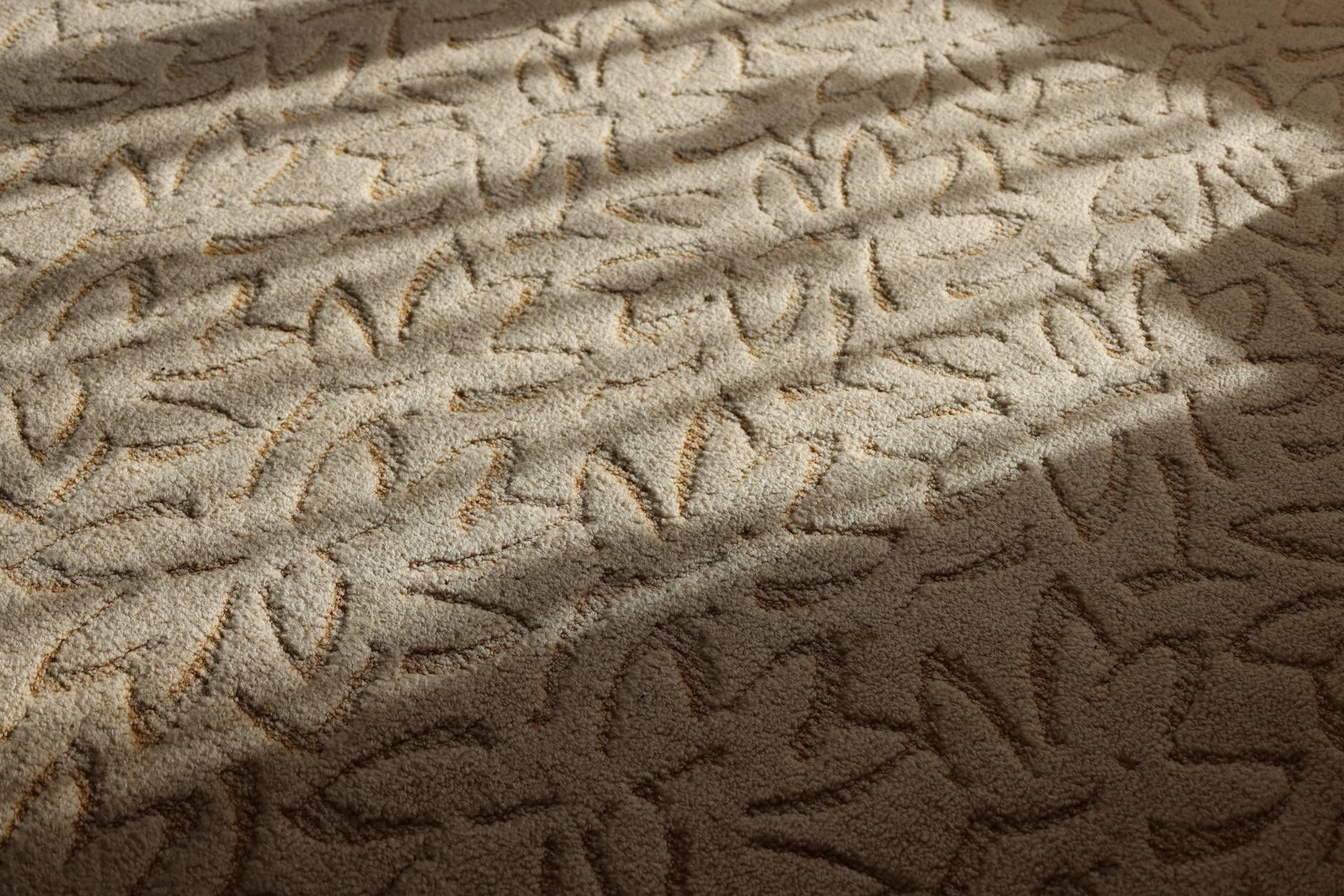 Professional odor neutralization services being applied to area rug by Fiber Care technician
